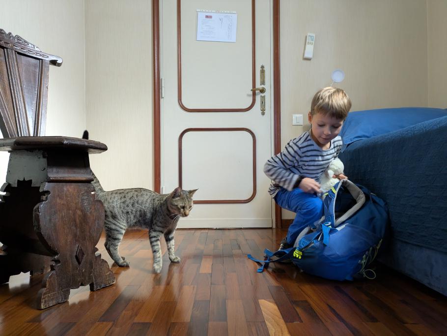 Beim Auspacken schleicht sich ein weiterer Gast in unser Zimmer