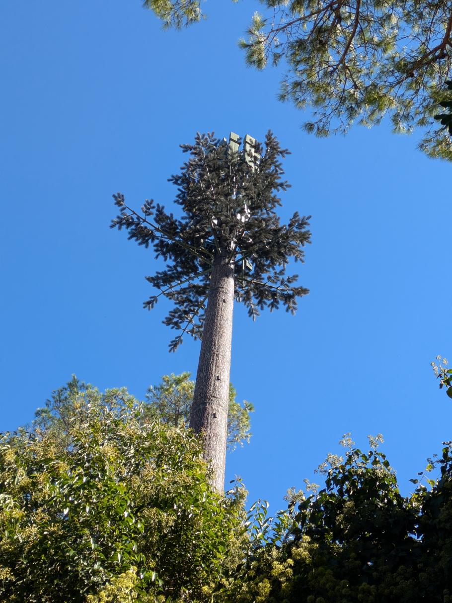 Der Funkmast ist als Baum getarnt