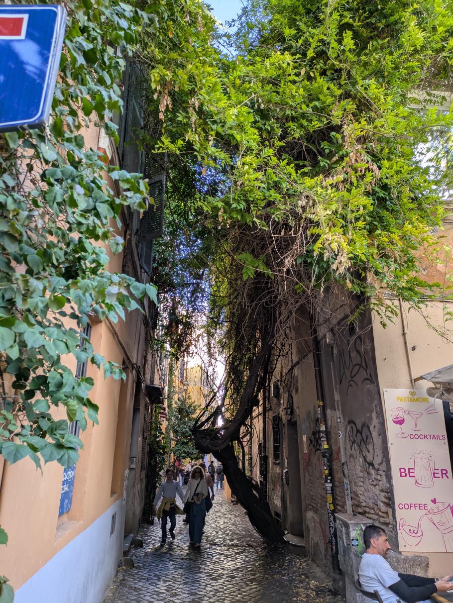 Üppiges Grün inmitten der Großstadt