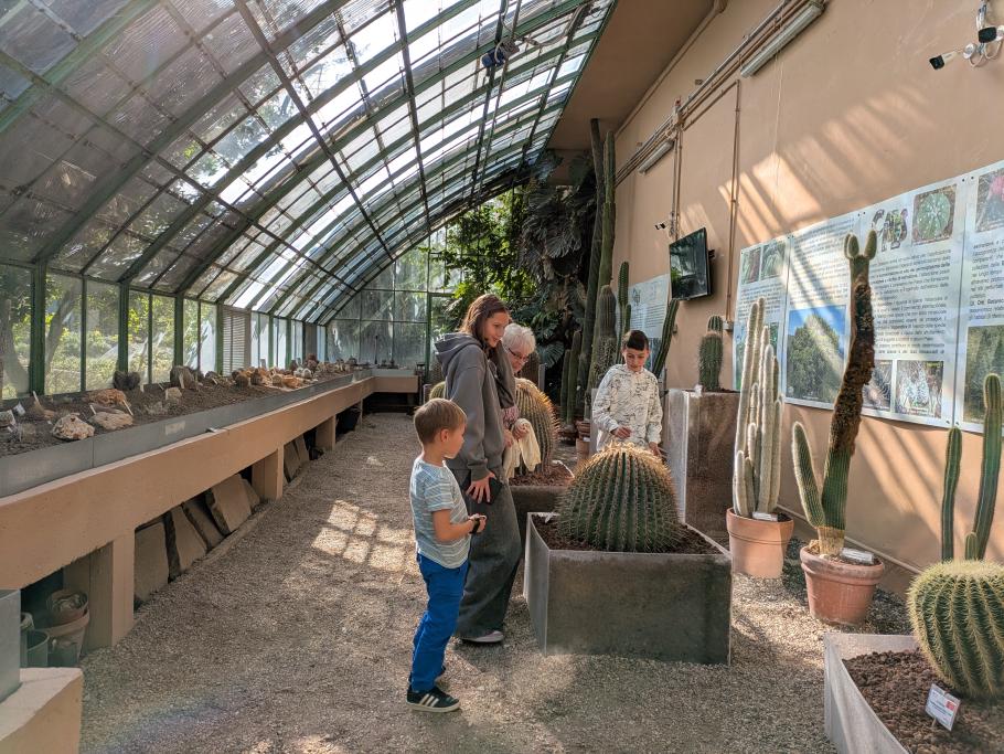 Die Schwiegermutter betrachtet das entsprechende Sitzmöbel