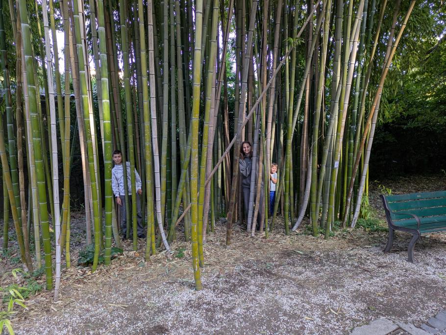 Technisch gesehen stehen die Kinder auf einer Wiese (Bambus ist ein Gras)
