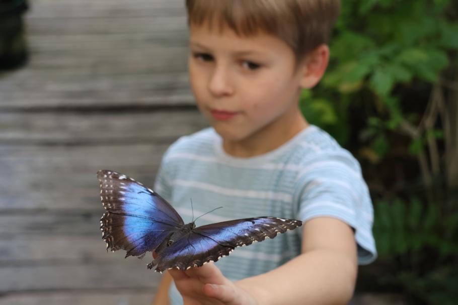 Mattis’ neues Haustier