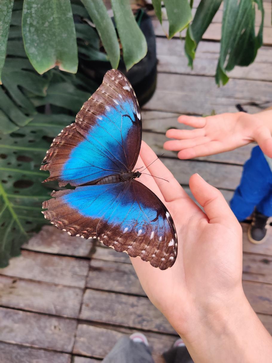 Annabell bekommt auch einen