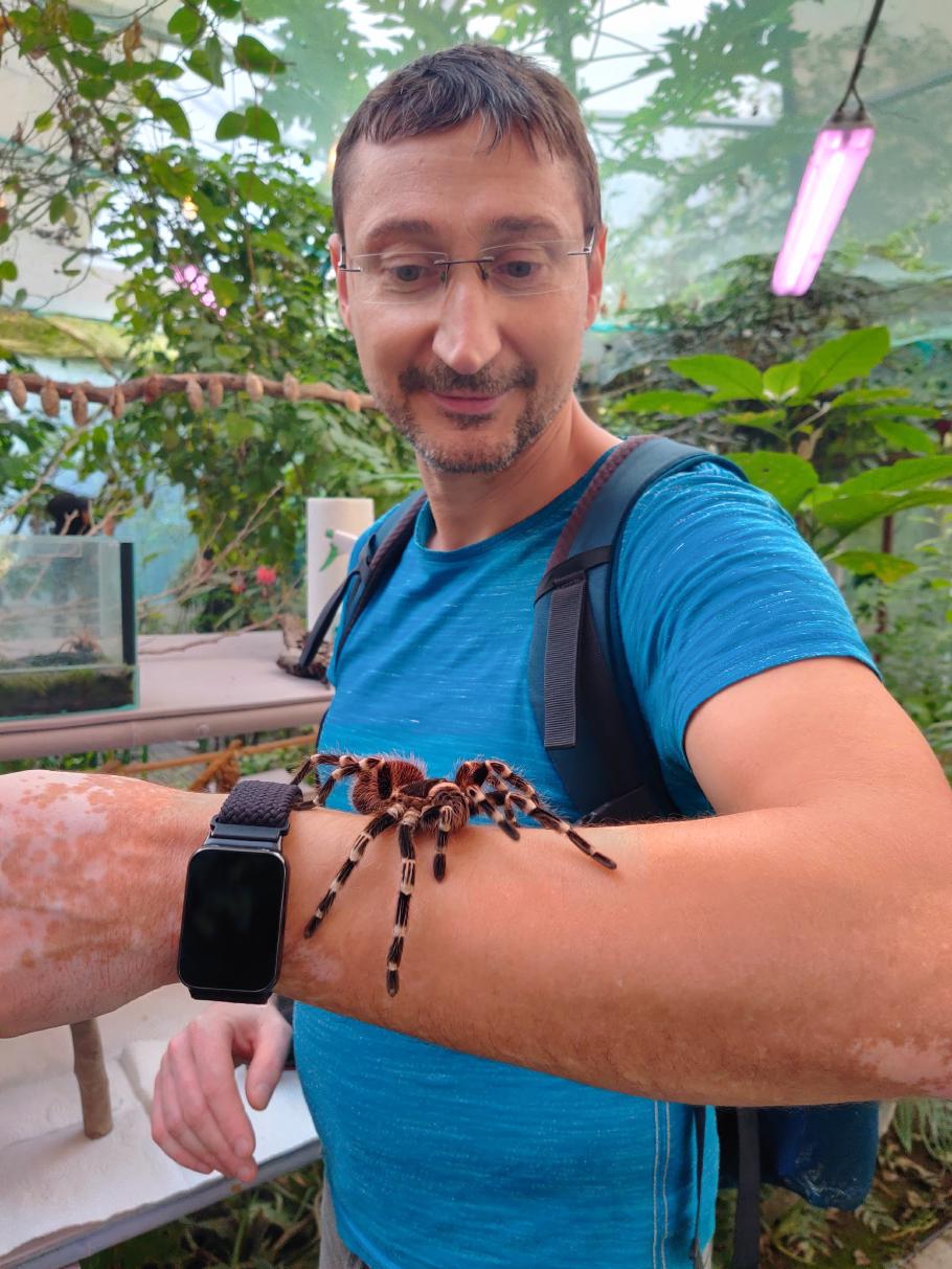 Schmetterlinge waren gerade aus