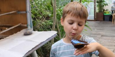 image from Botanischer Garten