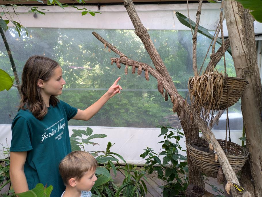 Riesige Kokons, daraus schlüpfen wohl …