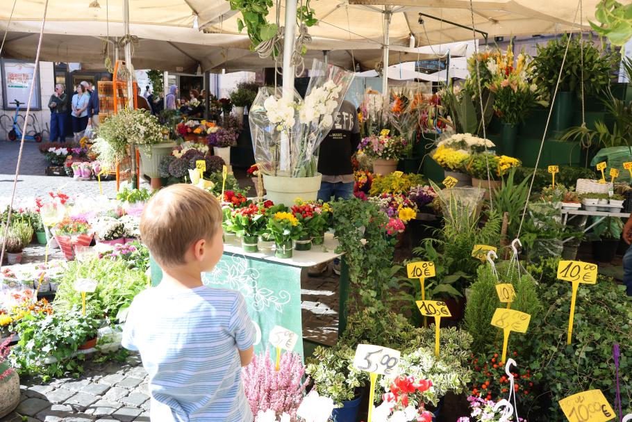 Es gibt jede Menge Blumen