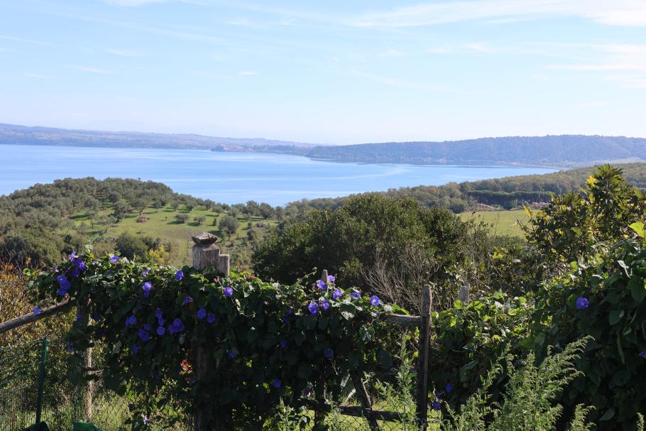 Von der Altstadt aus hat man eine tolle Aussicht über den See