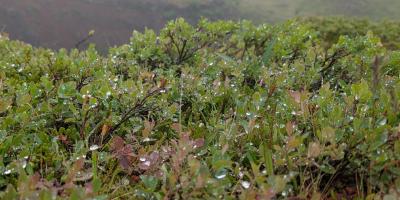 image from Rainy Circle