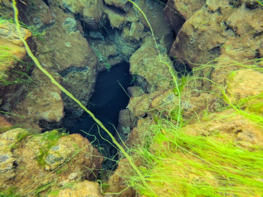 Einige der dunklen Löcher sind Eingänge zu Unterwasser-Höhlen