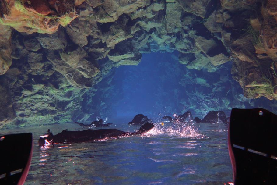 Auf dem Upside-Down-Bild sehen wir aus, als würden wir in einer Höhle schwimmen