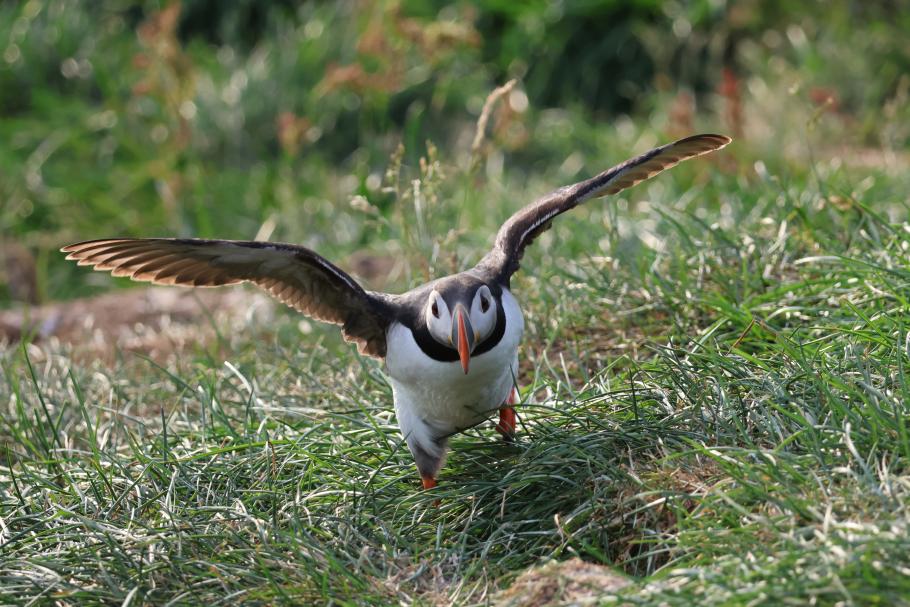 Klar zum Abflug