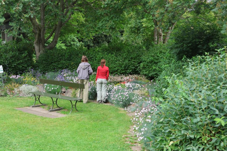 Die eine oder andere wird bestimmt in unseren Garten finden