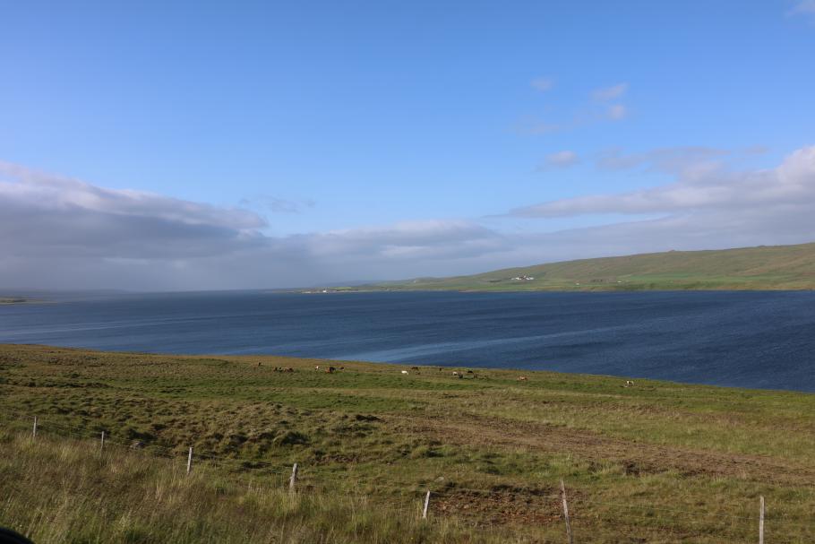 Blick über den endlos langen Fjord