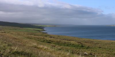 image from Nach Westen