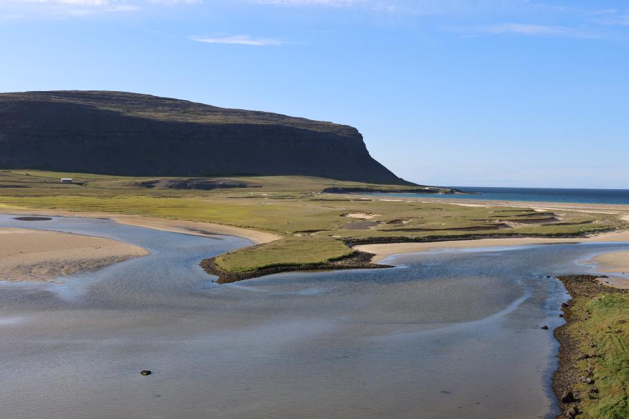 Sattes Grün wechselt sich mit gelbem Sand ab