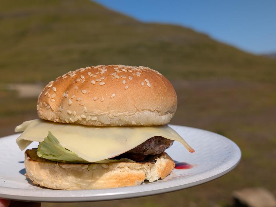 Statt Eishai essen wir doch lieber Burger