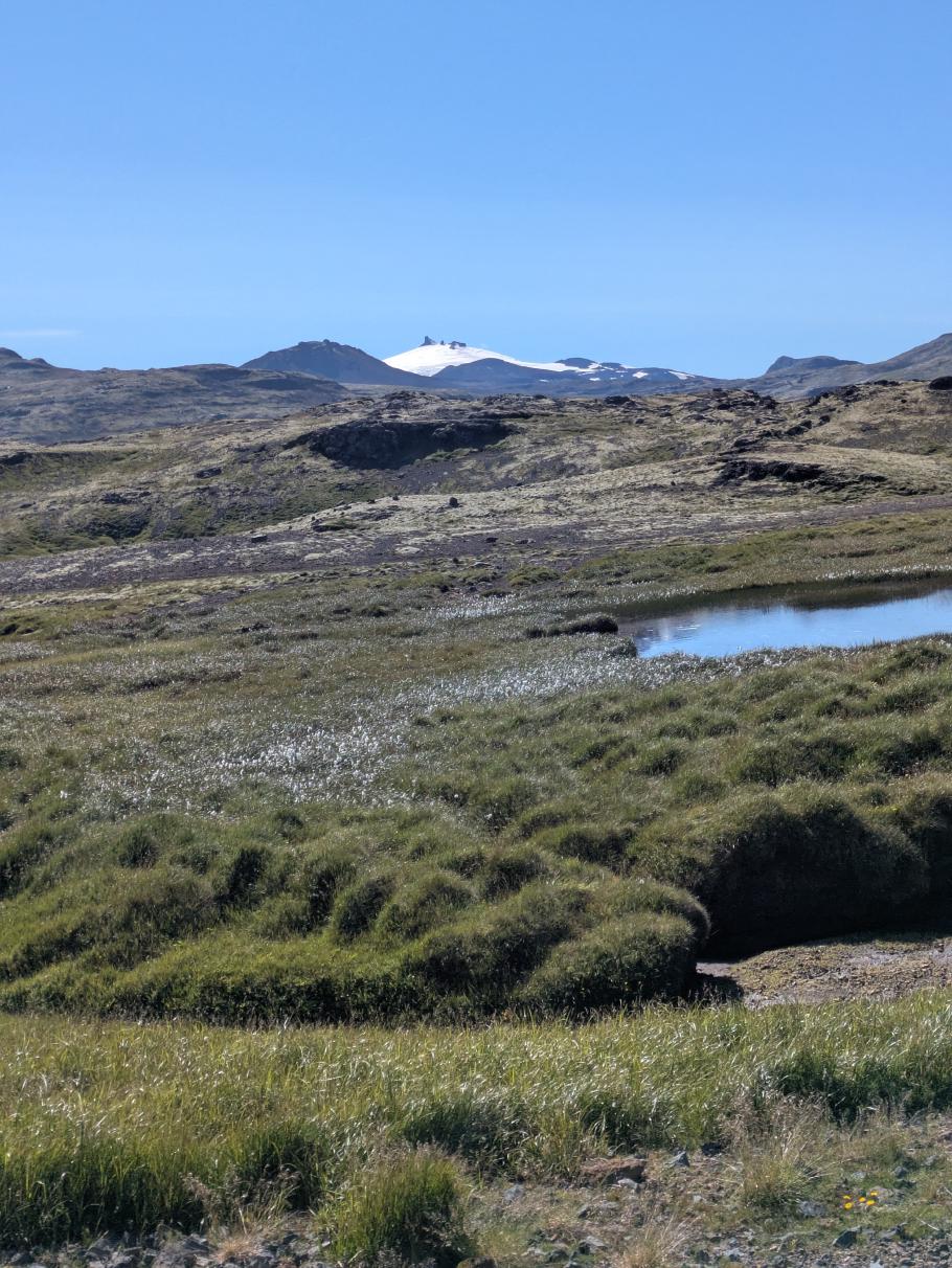 Der Snæfellsjökull ist schon seit einigen Tagen immer im Hintergrund präsent