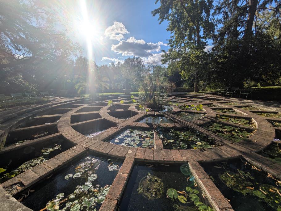 Hübsche Teichanlage im botanischen Garten