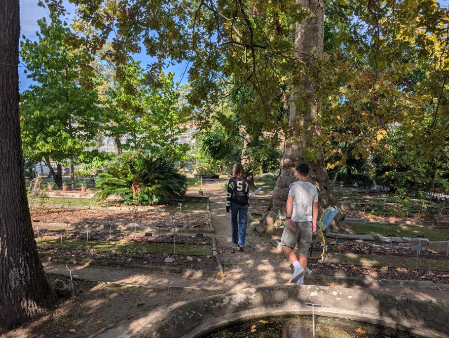 Der älteste botanische Garten Europas