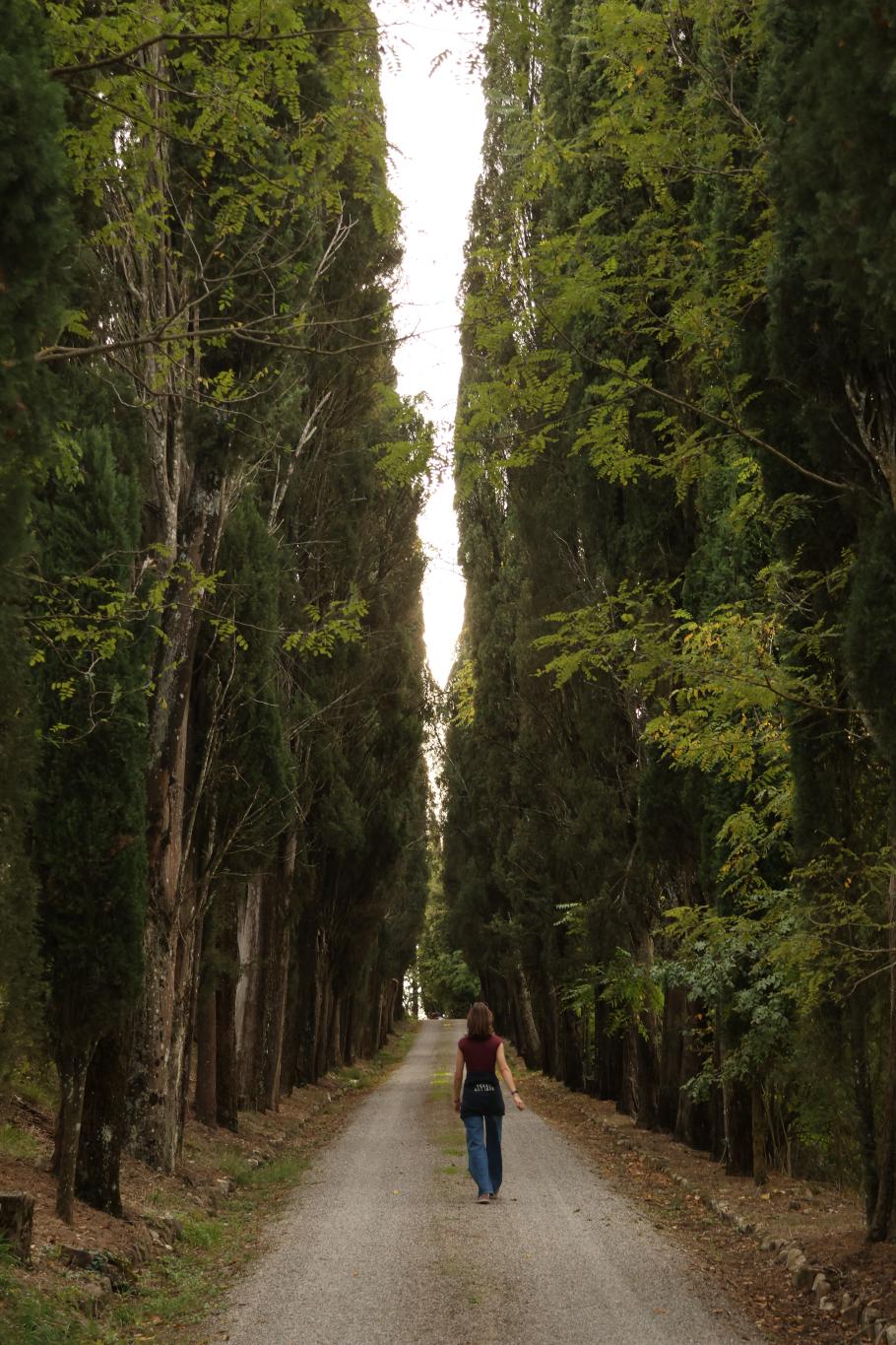 Annabell wollte gern durch eine Zypressenallee wandeln