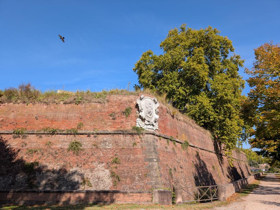 Wappen an der Stadtmauer