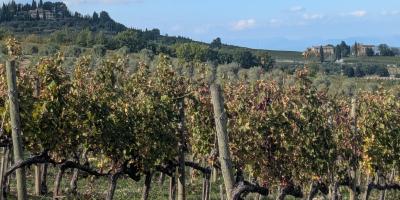 image from Chianti